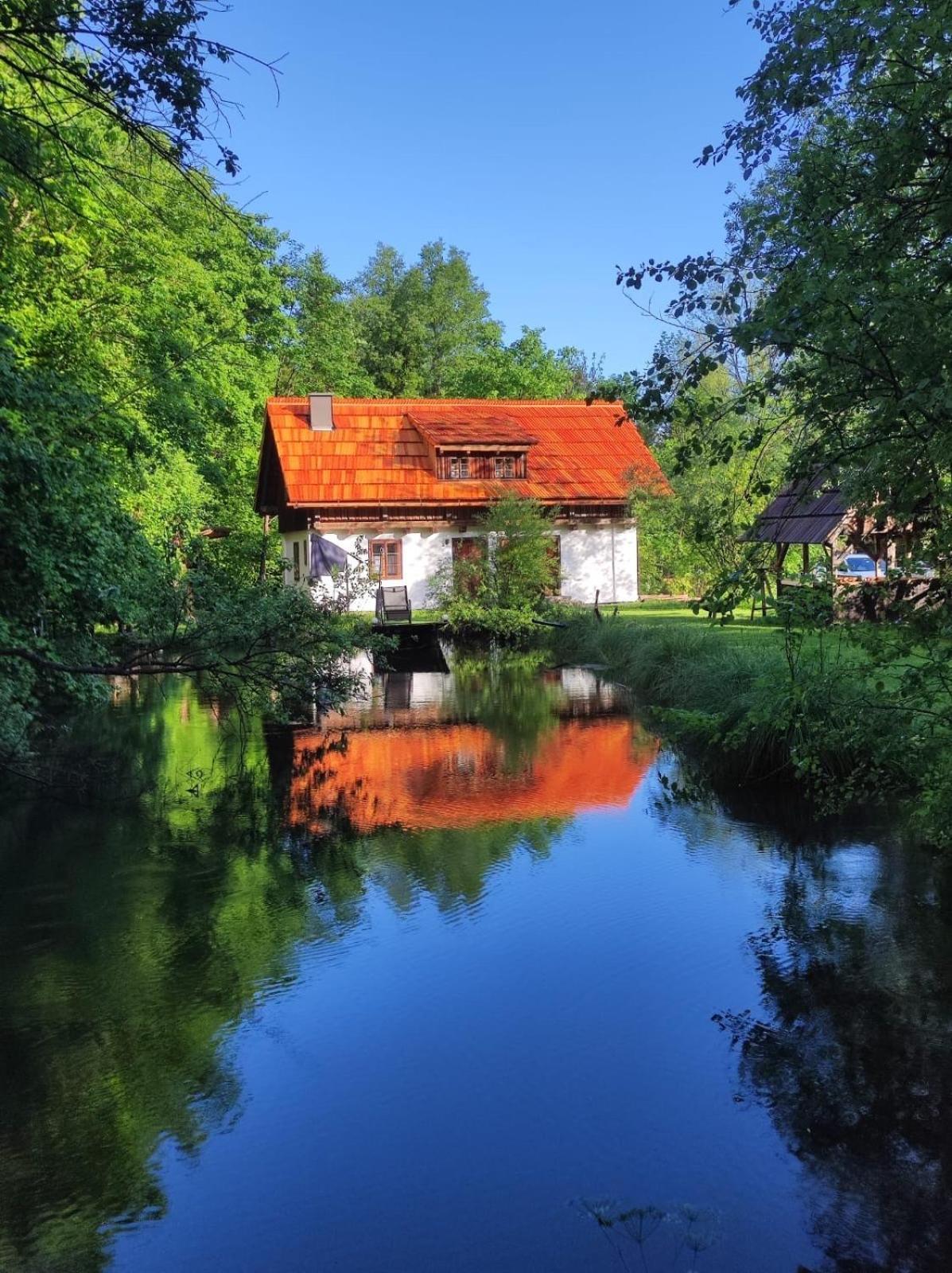 Ferienhaus Klopeinersee Kaernten Sittersdorf Exterior photo